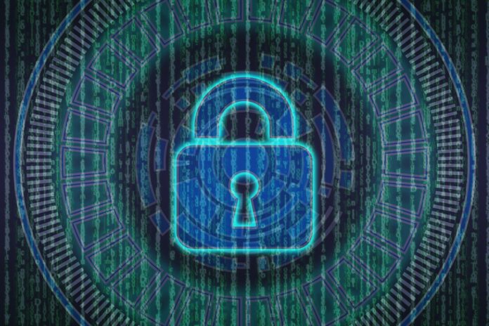 network security